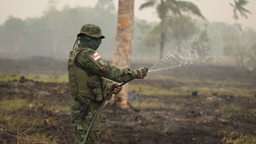 pf-prende-dois-suspeitos-de-incendiar-mais-de-950-hectares-no-amazonas