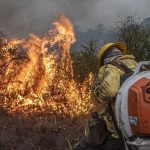 populacao-afetada-por-incendios-sobe-e-alcanca-quase-19-milhoes-de-pessoas