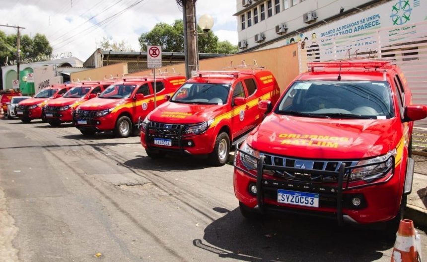 mulher-pede-socorro-aos-bombeiros,-mas-acaba-presa-em-minas-gerais