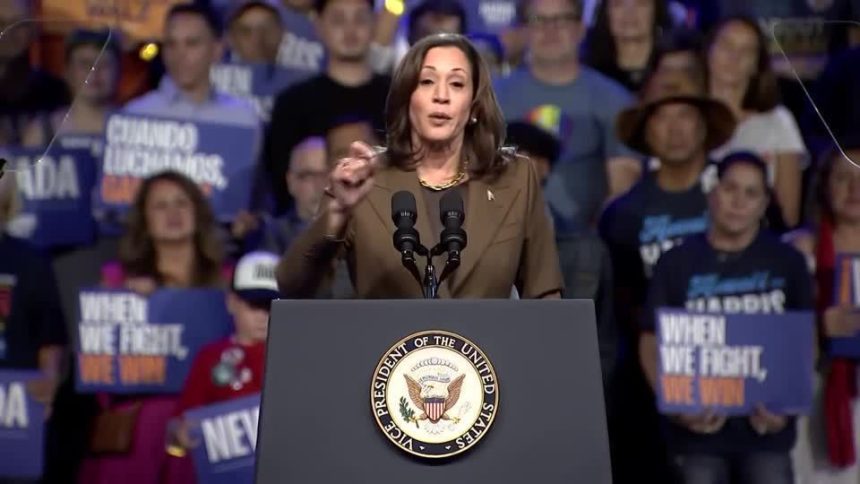 analise:-kamala-harris-demonstra-uma-linha-de-buscar-voto-moderado-sem-perder-voto-da-esquerda