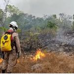 parque-nacional-da-chapada-dos-veadeiros-reabre-apos-incendios-florestais