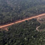 justica-volta-a-autorizar-o-asfaltamento-do-trecho-central-da-br-319-na-amazonia