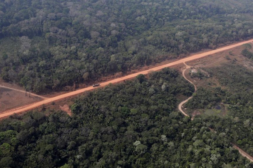 justica-volta-a-autorizar-o-asfaltamento-do-trecho-central-da-br-319-na-amazonia