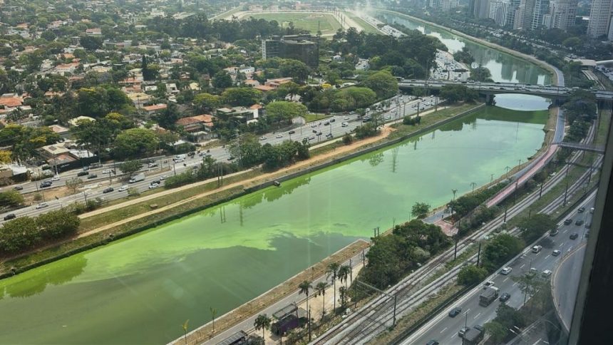 video:-sao-paulo-registra-mais-um-caso-de-acumulo-de-algas-no-rio-pinheiros