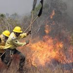 google-doa-r$-1,2-milhao-para-combate-a-incendios-no-brasil