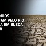 rios-negro-e-solimoes-atingem-cota-minima-historica-em-meio-a-seca-no-amazonas