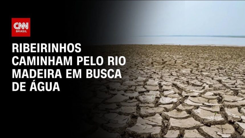 rios-negro-e-solimoes-atingem-cota-minima-historica-em-meio-a-seca-no-amazonas