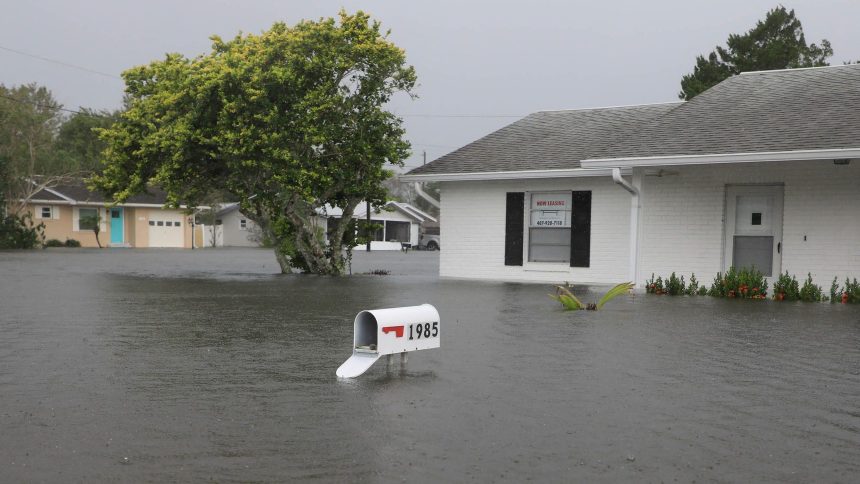 bebe-nasce-em-abrigo-na-florida-apos-passagem-do-furacao-milton