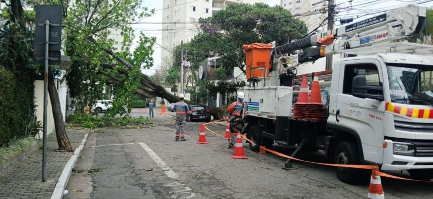 silveira-cria-sala-de-situacao-e-pressiona-aneel-apos-apagao-em-sp