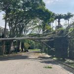 falta-de-agua-em-sao-paulo:-veja-regioes-com-desabastecimento-apos-chuva