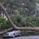 1,45-milhao-de-clientes-permanecem-sem-energia-apos-temporal-em-sp,-diz-enel