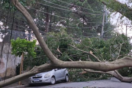 1,45-milhao-de-clientes-permanecem-sem-energia-apos-temporal-em-sp,-diz-enel