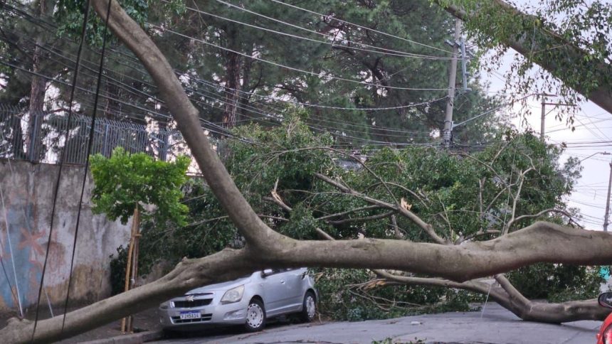 1,45-milhao-de-clientes-permanecem-sem-energia-apos-temporal-em-sp,-diz-enel