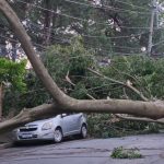 cidade-de-sao-paulo-registra-a-ventania-mais-forte-desde-1995,-diz-defesa-civil