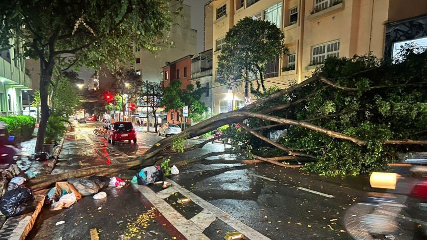 ministerio-publico-investigara-apagao-apos-temporal-em-sp