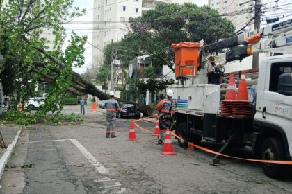 cidade-de-sao-paulo-tem-mais-de-14-mil-solicitacoes-para-podas-de-arvores