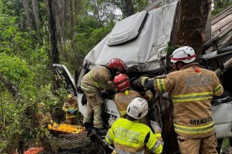 motorista-perde-controle-e-caminhao-cai-em-ribanceira-em-minas-gerais