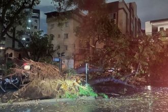 temporal-provoca-alagamentos-e-queda-de-arvores-em-belo-horizonte;-veja-imagens