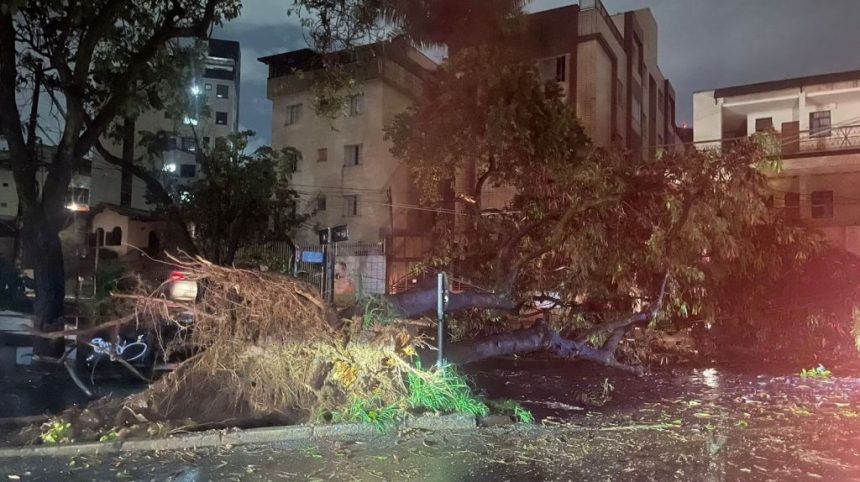 temporal-provoca-alagamentos-e-queda-de-arvores-em-belo-horizonte;-veja-imagens