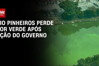 lixometro:-mais-de-66-mil-toneladas-de-lixo-retiradas-do-rio-pinheiros-em-menos-de-um-ano