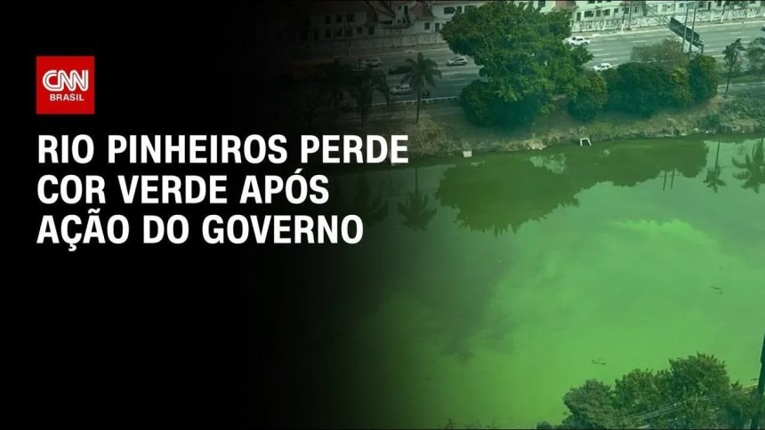 lixometro:-mais-de-66-mil-toneladas-de-lixo-retiradas-do-rio-pinheiros-em-menos-de-um-ano