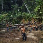 orgao-para-povos-indigenas-e-criado-durante-cop-16-da-biodiversidade