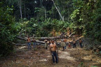 orgao-para-povos-indigenas-e-criado-durante-cop-16-da-biodiversidade