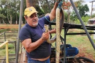 sucuri-entra-pelo-cano-e-interrompe-abastecimento-de-agua-na-cidade