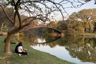 parque-ibirapuera-passa-a-cobrar-taxa-para-assessorias-esportivas