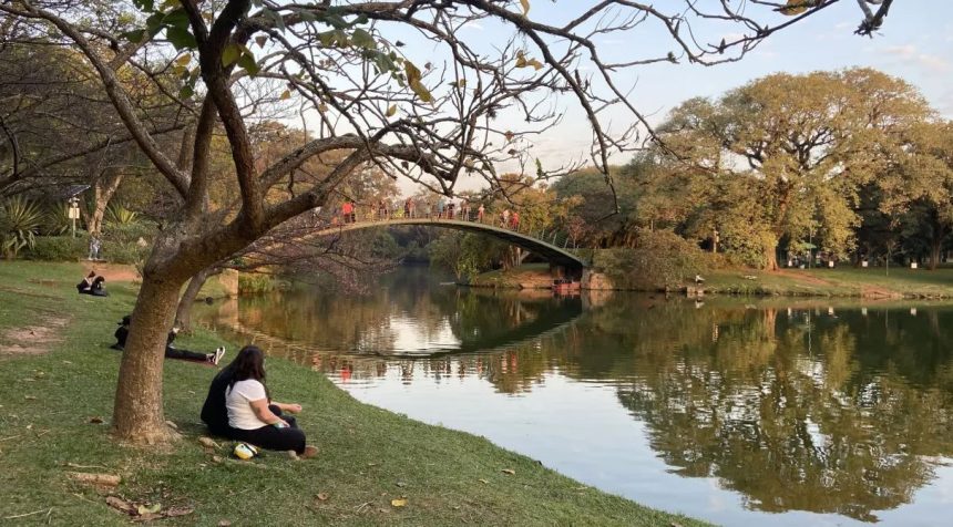 parque-ibirapuera-passa-a-cobrar-taxa-para-assessorias-esportivas