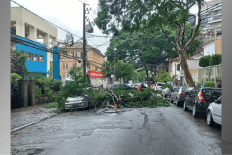 chuvas-fortes-causam-estragos-na-capital-paulista;-veja-imagens