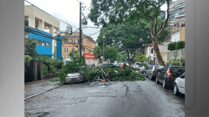 chuvas-fortes-causam-estragos-na-capital-paulista;-veja-imagens