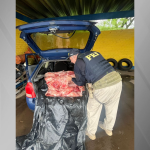 gol-com-300-kg-de-carne-de-capivara:-homem-e-preso-por-matar-animais-e-cometer-crime-ambiental