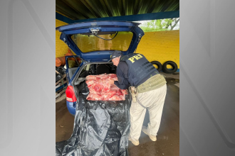 gol-com-300-kg-de-carne-de-capivara:-homem-e-preso-por-matar-animais-e-cometer-crime-ambiental