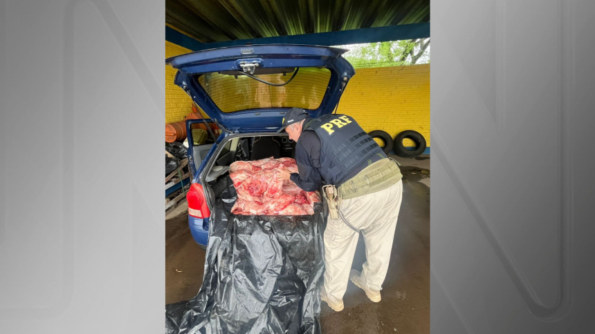 gol-com-300-kg-de-carne-de-capivara:-homem-e-preso-por-matar-animais-e-cometer-crime-ambiental