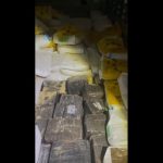 policia-apreende-mais-de-3-toneladas-de-maconha-em-carga-de-racao-bovina