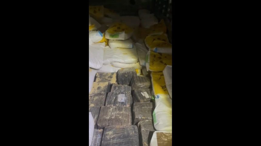 policia-apreende-mais-de-3-toneladas-de-maconha-em-carga-de-racao-bovina