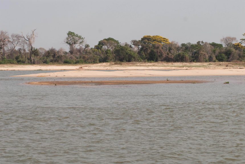 pantanal-reduz-em-61%-area-alegada-em-um-periodo-de-38-anos,-indica-mapbiomas