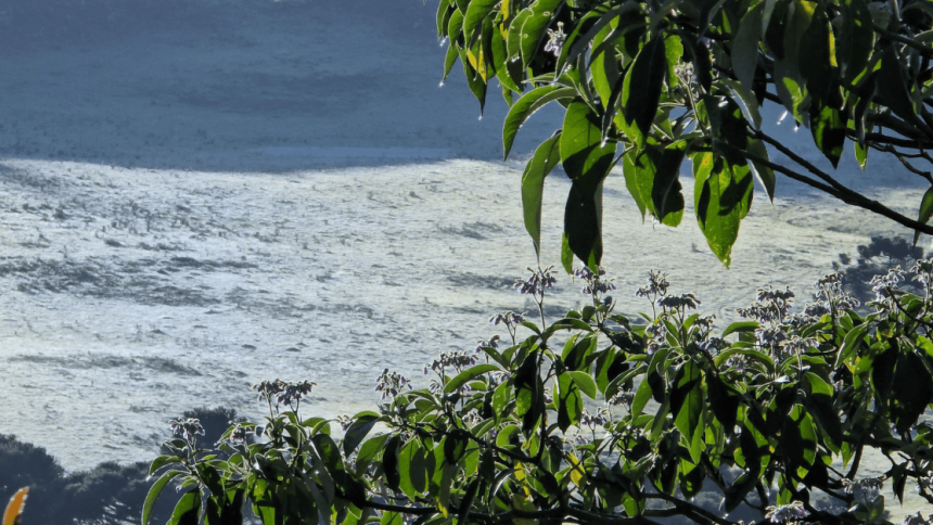 em-meio-a-primavera,-termometros-na-serra-catarinense-registram-minima-de-0,3°c