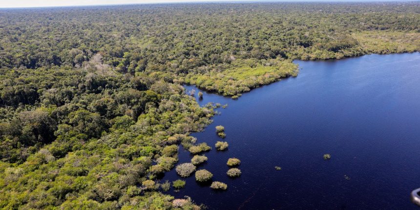 petrobras-e-bndes-fazem-parceria-para-restauracao-na-amazonia