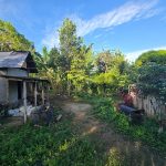 ibirapitanga:-operacao-policial-termina-com-dois-suspeitos-mortos-na-zona-rural-do-municipio