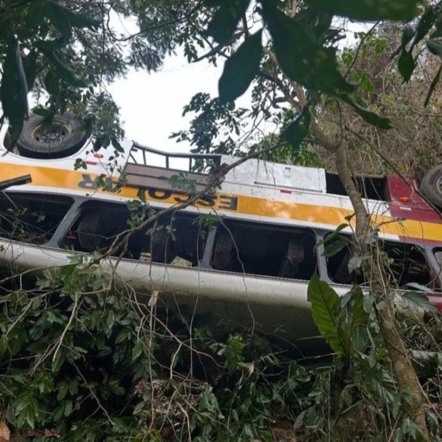 onibus-com-40-pessoas-cai-em-ribanceira-em-alagoas;-corpo-de-bombeiros-diz-que-ha-mortos