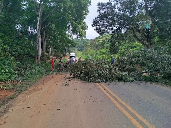 pre-realiza-poda-preventiva-em-trechos-da-ba-650-entre-ipiau-e-ibirataia,-em-parceria-com-produtores-rurais