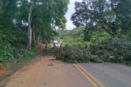 pre-realiza-poda-preventiva-em-trechos-da-ba-650-entre-ipiau-e-ibirataia,-em-parceria-com-produtores-rurais