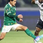 palmeiras-e-botafogo-jogam-por-lideranca-do-campeonato-brasileiro