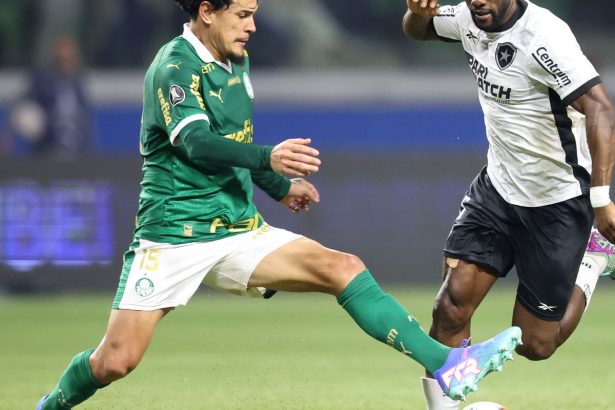 palmeiras-e-botafogo-jogam-por-lideranca-do-campeonato-brasileiro