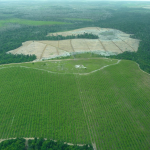 maior-parte-da-mata-atlantica-tem-menos-de-30%-de-vegetacao-nativa