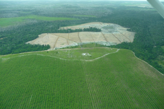 maior-parte-da-mata-atlantica-tem-menos-de-30%-de-vegetacao-nativa