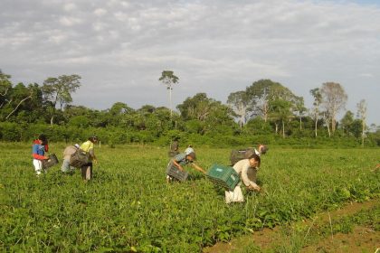 lula-sanciona-lei-que-autoriza-r$-500-mi-para-agricultura-familiar