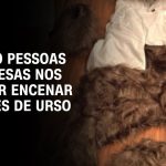 urso-ataca-trabalhador-e-saqueia-secao-de-carne-em-supermercado-no-japao